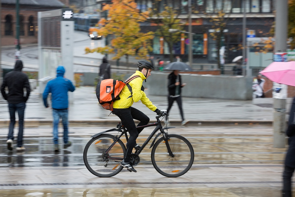 Bike Peds