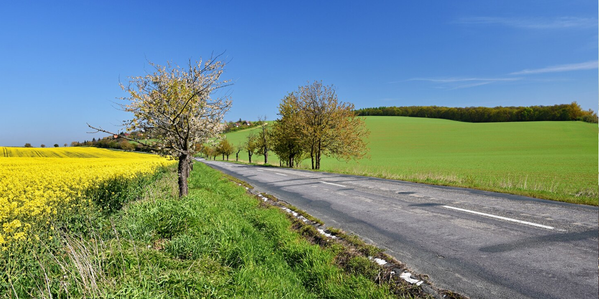 Rural Road