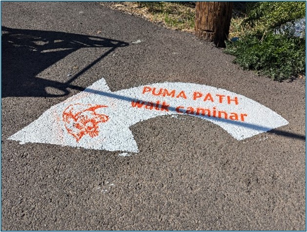 An arrow painted on the pavement